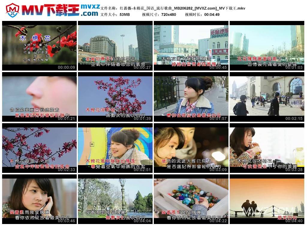 红蔷薇-木棉花_国语_流行歌曲_MB206282